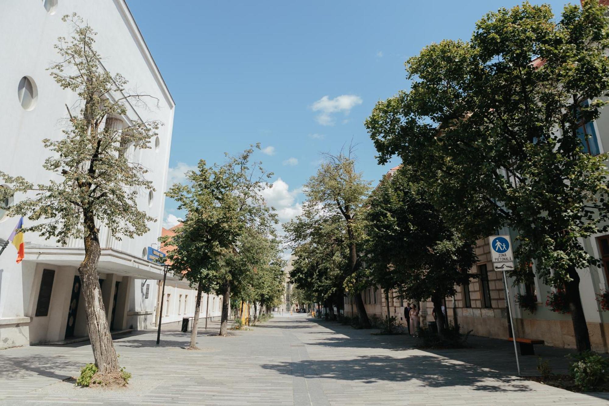 Apartment Bethlen Cluj-Napoca
